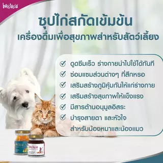 Basstasia Amino Booster Soup ซุปไก่สกัดเข้มข้นสำหรับสุนัข หอมอร่อย ซุปไก่บำรุงน้องหมา ซุปไก่สุนัข ขนาด 70 ml. พร้อมส่ง