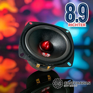 8.9 Richter 4นิ้ว เฟสปลั๊ก 4โอห์ม และ8โอห์ม 50วัตต์