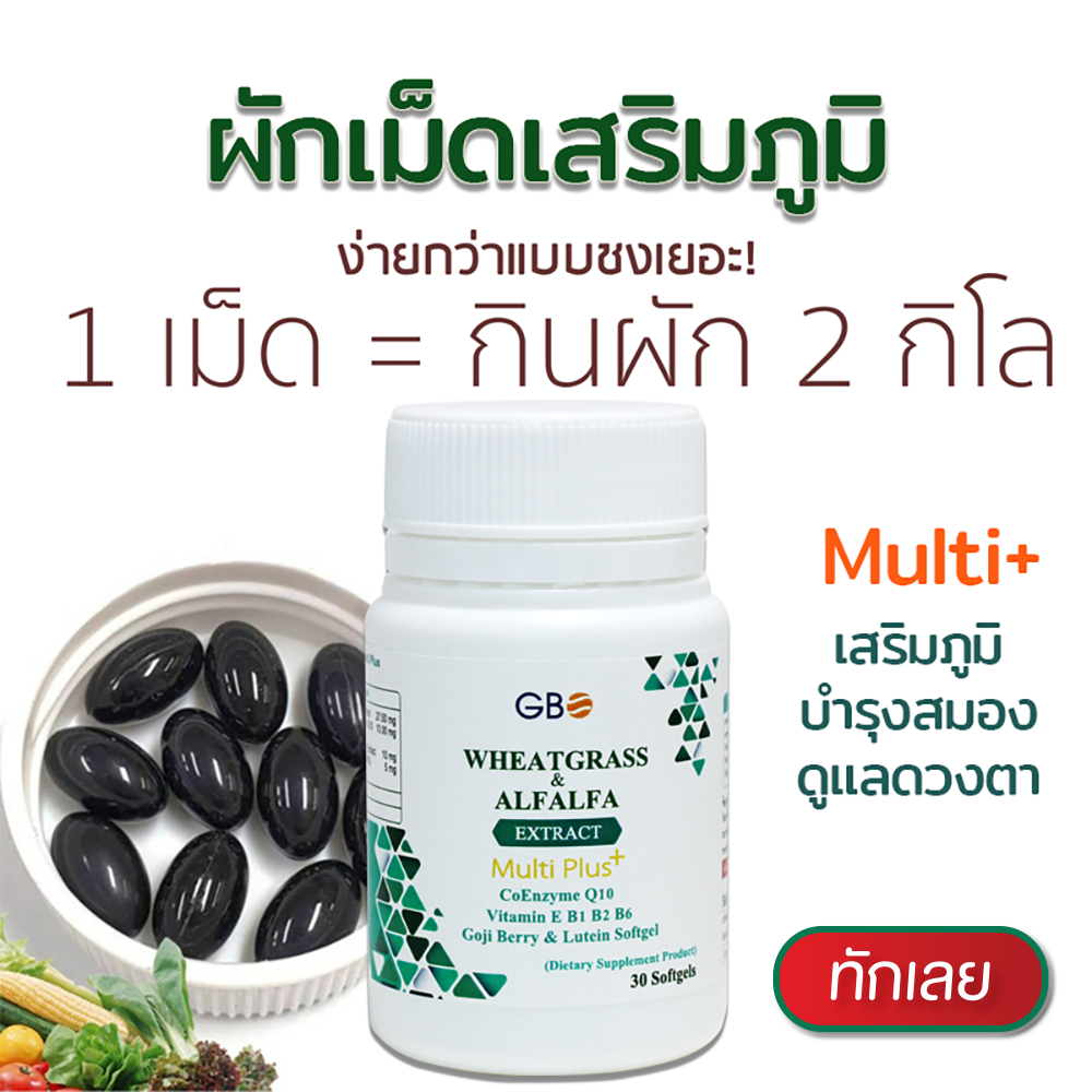ผักเม็ดจีบีโอ (GBO) เสริมภูมิ Wheatgrass & Alfalfa Extract Plus Q10
