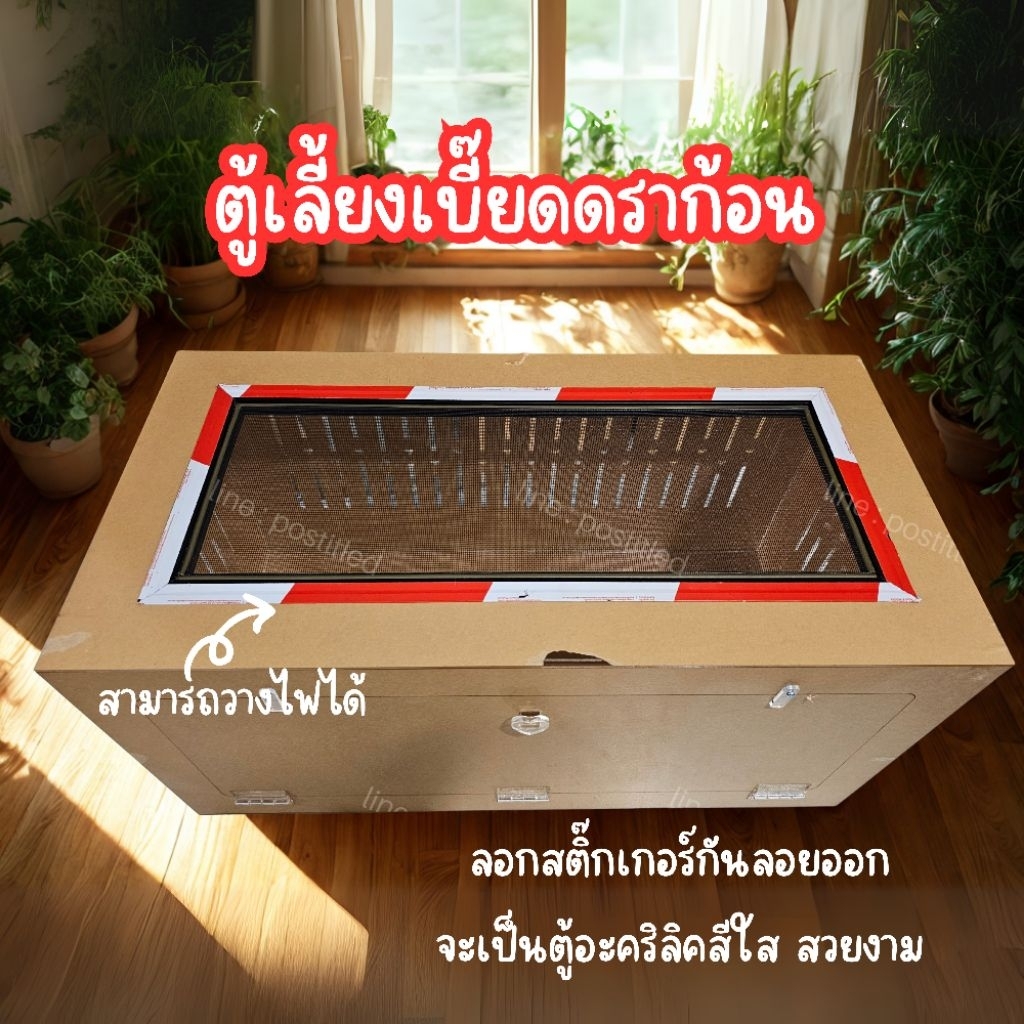 ตู้เลี้ยงเบี๊ยดดราก้อน ตู้อะคริลิคมีตะแกรงสำหรับวางโคมไฟ พร้อมที่วัดอุณหูมิและความชื้น