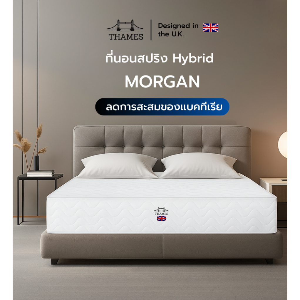 Thames ที่นอนสปริง Morgan ความหนา 8 นิ้ว  เพื่อสุขภาพ แข็งแรงทนทาน ลดการสะสมของแบคทีเรีย ที่นอนสปริง