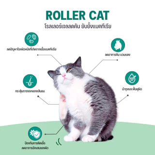 Goodboss Roller Cat เจลลดคันสำหรับเเมว ลดผื่นเเดง ขนร่วง สารสกัดจากธรรมชาติ ขนาด 10ml.