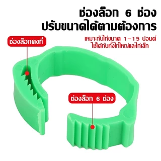 หลายสี ห่วงขาไก่100ชิ้น ห่วงเท้าไก่แหวนขาไก่พลาสติกปรับได้พร้อมตัวเลข แถบขาไก่ที่มีสีสันวงขาสัตว์ปีก