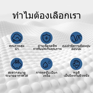 [ถุงเท้า 6คู่ แถม 6คู่] ถุงเท้าแฟชั่น ถุงเท้าข้อสั้น สีพื้น เนื้อผ้าดีใส่สบาย ผ้าฝ้าย ส่งจากกทม