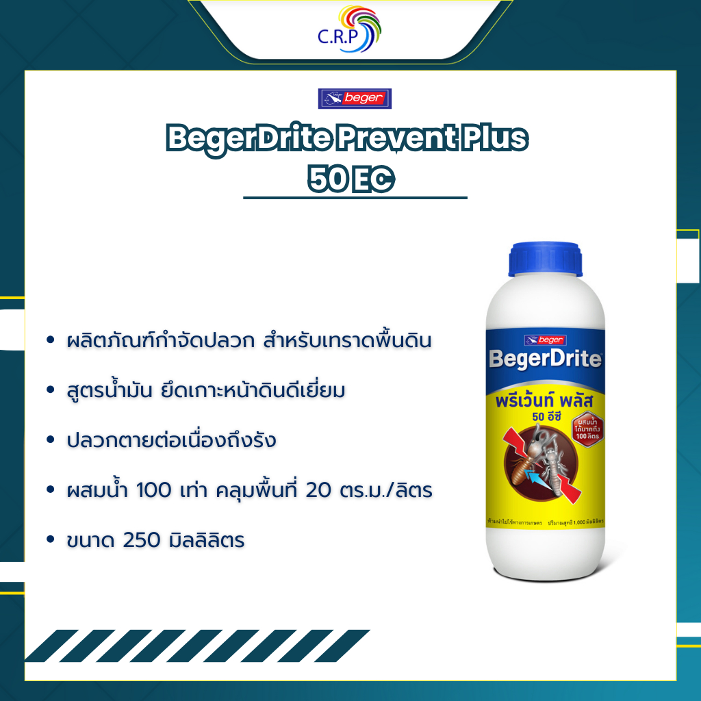 Beger ไดร้ท์พรีเว้นท์พลัส 50EC ป้องกัน และ กำจัดปลวก ชนิดเทราดลงดิน (ขนาด 250มล.) สูตรน้ำมัน ผสมน้ำได้ถึง 100 เท่า