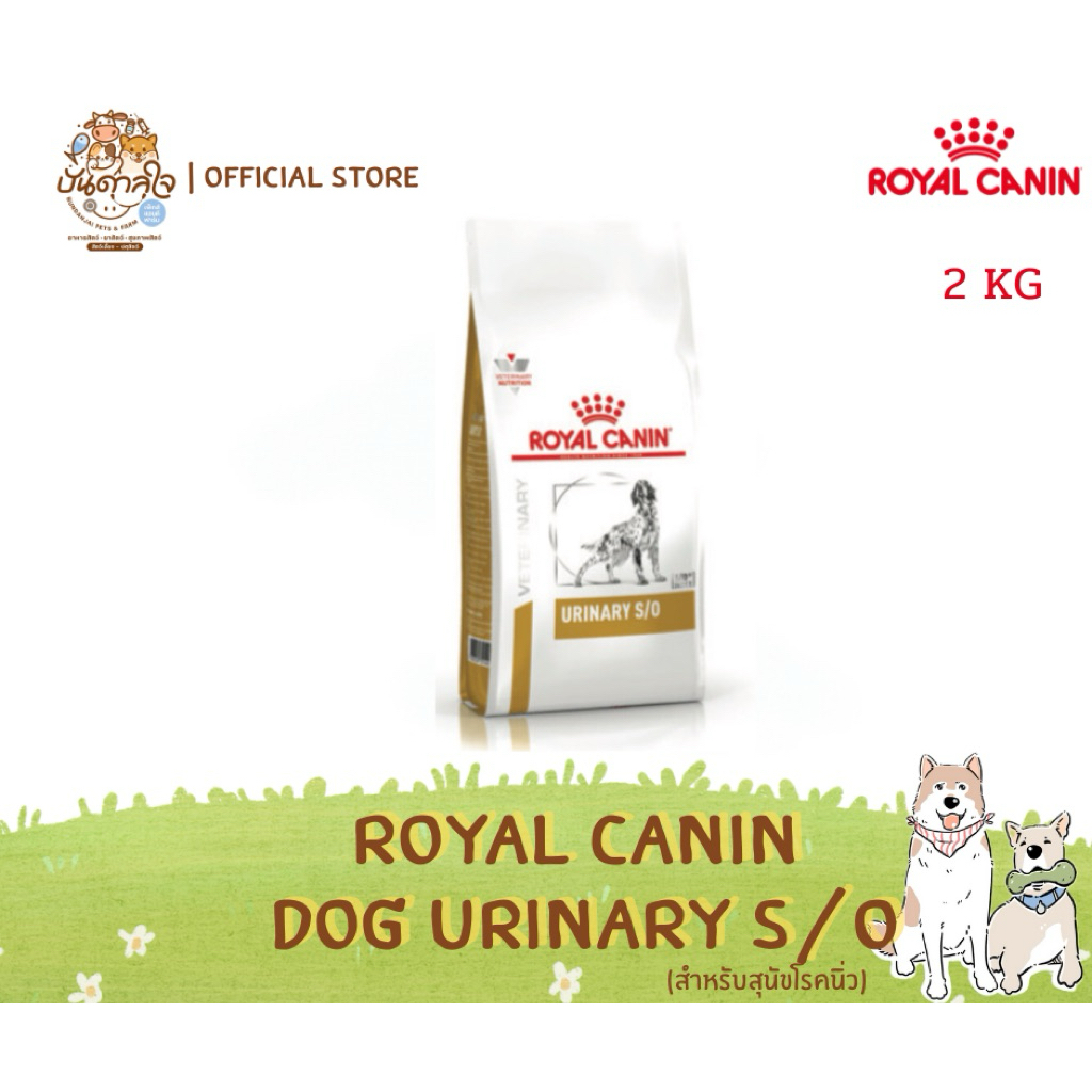 EXP.3/8/2569 Royal Canin Dog Urinary S/O อาหารประกอบการรักษาสุนัขโรคนิ่ว ปริมาณ 2 kg.