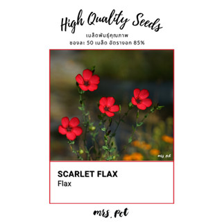 เมล็ดดอกไม้กินได้ Scarlet Flax รหัส137
