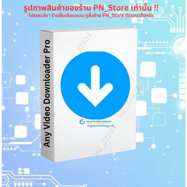 Any Video Downloader Pro 2025 v9.1 โปรแกรมดาวน์โหลดวิดีโอต่างๆ สำหรับ Windows