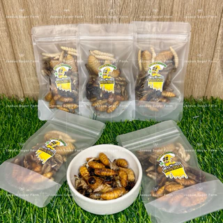 🦗🐛แมลงรวมฟรีซดราย หนอนไม้ไผ่ หนอนไหม สะดิ้ง จิ้งหรีด ด้วงสาคู น้ำหนัก 10g.