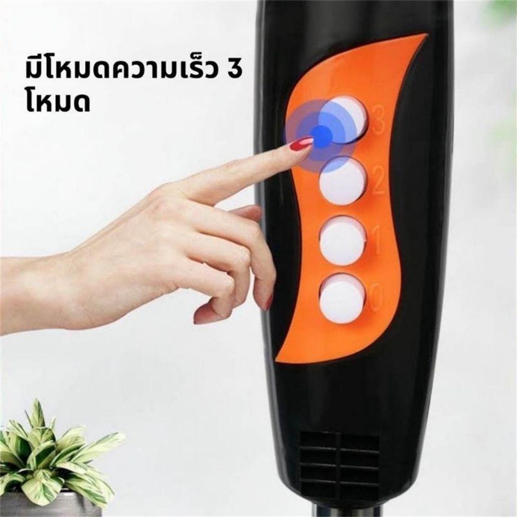 รูปภาพ 4