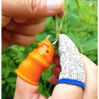 ปลอกสวมนิ้ว เด็ดยอดผัก เล็บเหล็กเด็ดยอดผัก แกะเปลือกหอมกระเท…