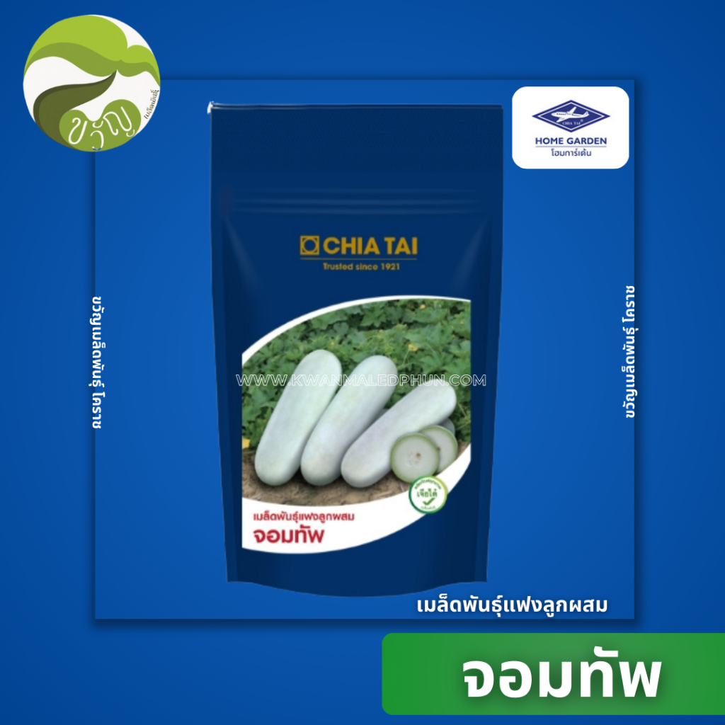 เมล็ดพันธุ์ แฟง แฟงจอมทัพ ลอตใหม่ ล่าสุด