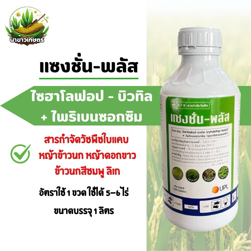 แซงชั่นพลัส (ไซฮาโลฟอป-บิวทิล+ไพริเบนซอกซิม) 1ลิตร กำจัดหญ้าใบแคบ หญ้าข้าวนก หญ้าดอกขาว ลิเก