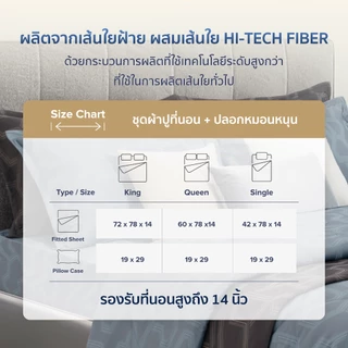 AMOUR ชุดผ้าปูที่นอน+ปลอกหมอนหนุน (ไม่รวมผ้านวม) 6 ฟุต KING, 5 ฟุต QUEEN และ 3.5 ฟุต SINGLE - ARTY 460 Series