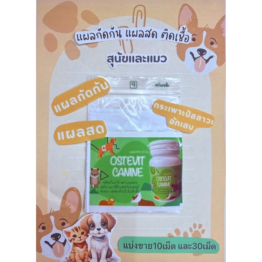 ผลิตภัณฑ์ดูแลสัตว์เลี้ยง ผิวหนัง แผล กัด กันในสัตวเลี้ยง