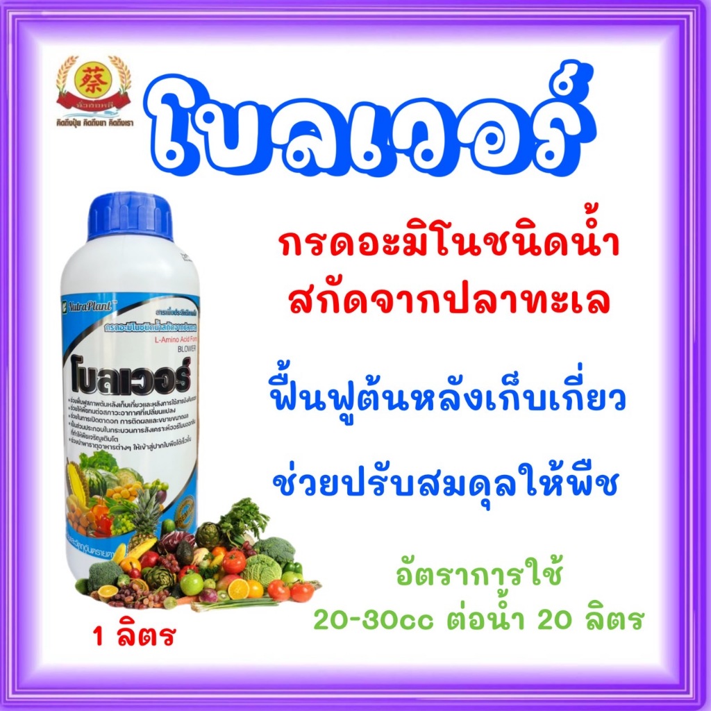 โบลเวอร์ นูตร้าแพลนท์ อะมิโนจากปลาทะเล ที่จำเป็นต่อพืช ช่วยการเจริญเติบโต ฟื้นฟูต้นหลังเก็บเกี่ยว 1 ลิตร