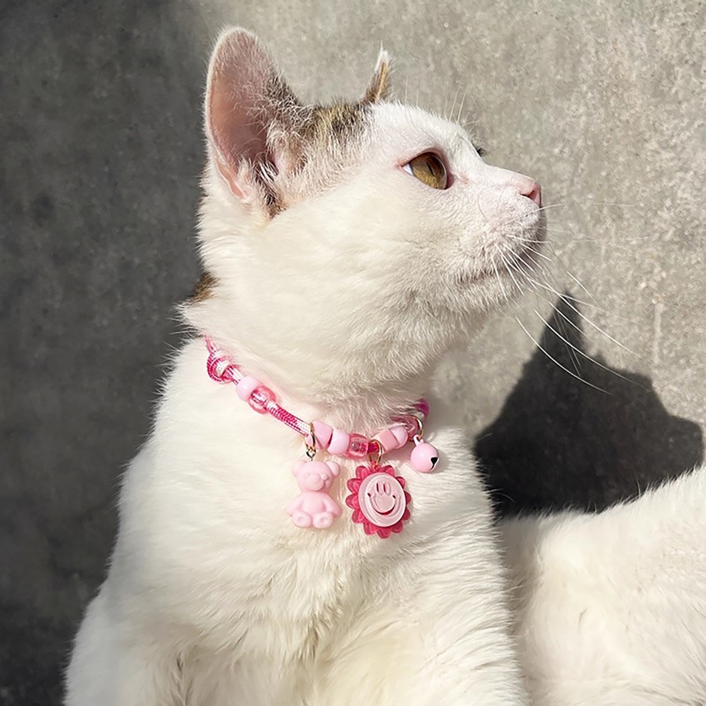 เลือกจี้เองได้ สุนัข สัตว์เลี้ยง เชือกถักสุดน่ารัก เลือกจี้เองได้ ปรับระดับได้ เชือกหนาไม่ขาดง่าย - รูปที่ 5