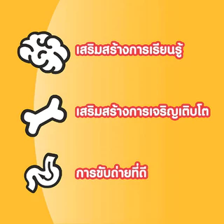 Pedigree อาหารสุนัข 400g Dog Food สารอาหารครบถ้วนตามหลักโภชนาการ ช่วยเสริมภูมิคุ้มกัน บำรุงผิวและขน