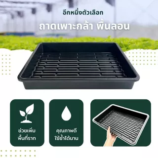 ถาดเพาะกล้า ถาดลอนพรเอมฝา+ถาดหลุม I ระบบพื้นลอน ยกถาด