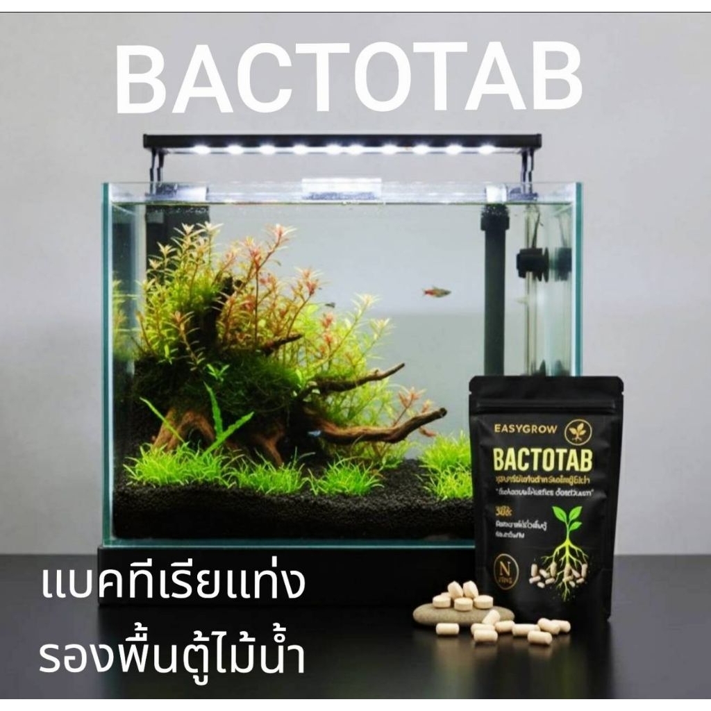 BACTOTABจุลินทรีย์แท่งสำหรับรองพื้นตู้ไม้น้ำ ที่ช่วยสร้างระบบนิเวศให้เสถียรตั้งแต่วันแรกตู้ปลา