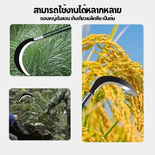 เคียวด้ามยาวน้ำหนักเบา อเนกประสงค์ ใช้สำหรับ ตัดไม้ ตัดหญ้า สวนกล้วย เคียวเกียวหญ้า มีดแมงกานีส รุ่นหนาแบบยาวด้ามเขียว