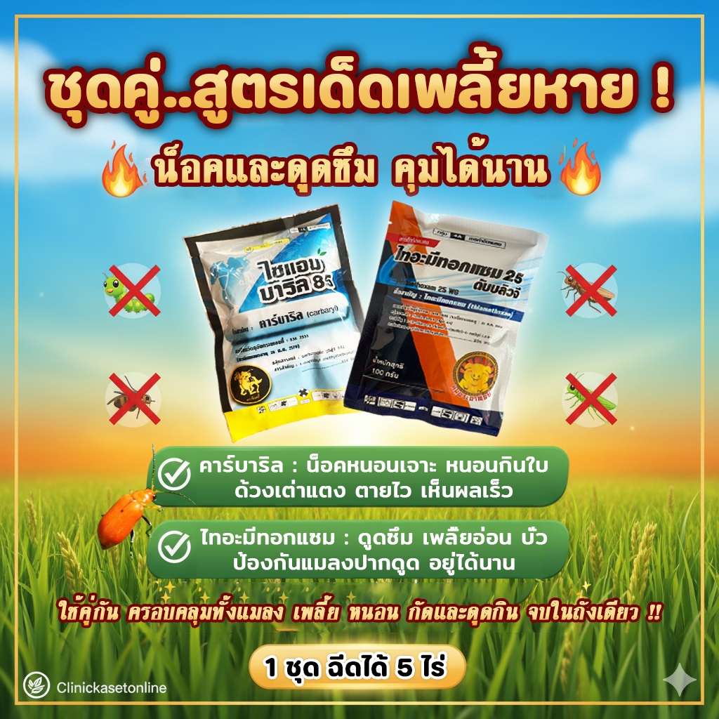 ชุดคู่เพลี้ย 2 ตัวบวก (คาร์บาริล 100g+ไทอะมีทอกแซม 100g ) ชนิดน็อคและดูดซึม กำจัดหนอน เพลี้ย แม่บิน ราคา ถูกที่สุด ดีลบีเคเค