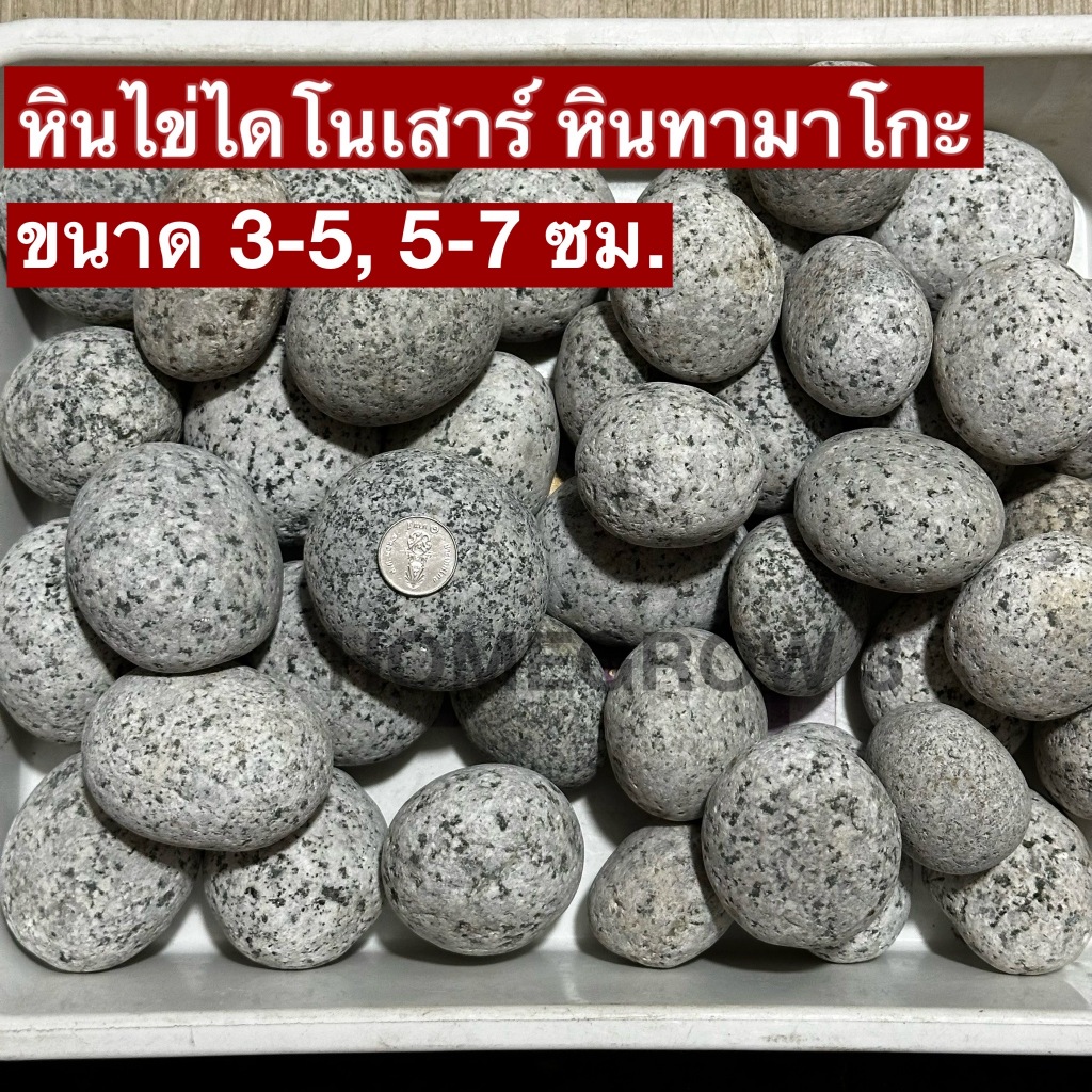 หินทามาโกะ หินไข่ไดโนเสาร์  ขนาด 3-5 , 5-7 ซม. จัดเลเอาท์ แต่งตู้ปลา พร้อมส่งในไทย