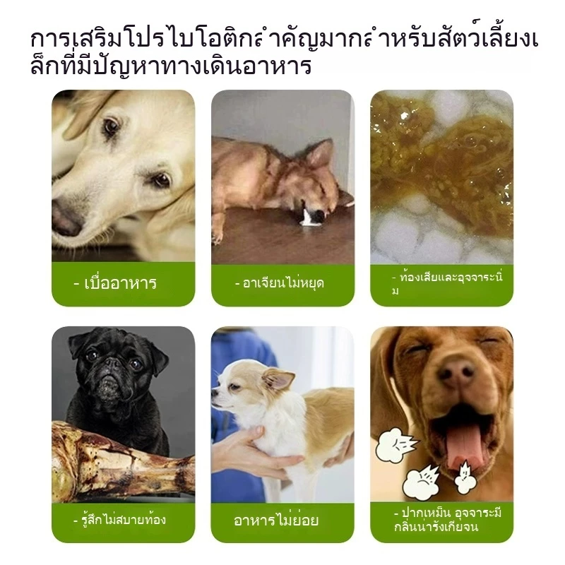 【COD】อาหารเสริมแมว Ketzuzu, อาหารเสริมวิตามินหลักสำหรับแมว, เสริมสร้างภูมิคุ้มกัน, บำรุงเลือด, ปกป้อง thumbnail 6