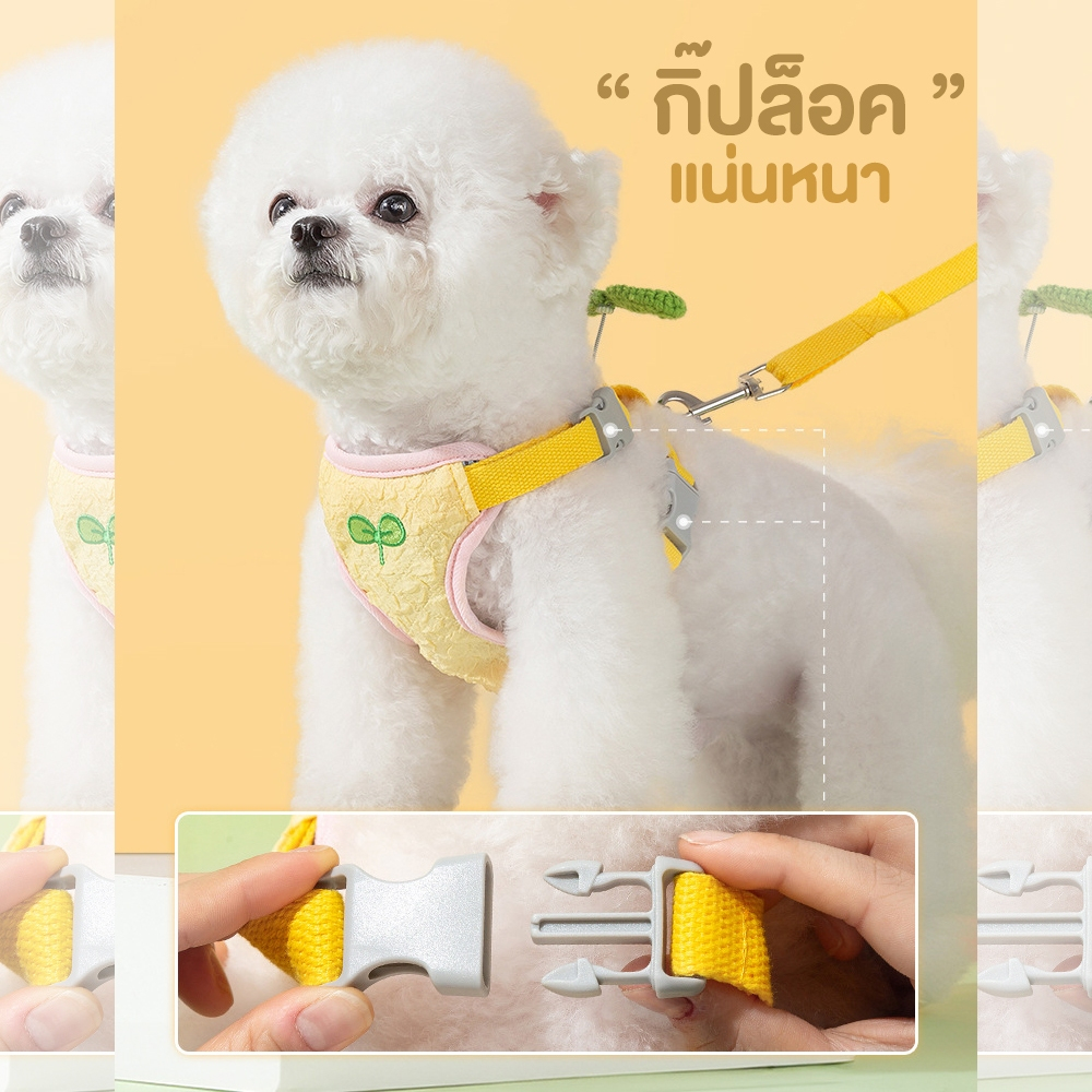 เชือกจูงแมว รุ่นOP213 สายจูงแมว สายรัดอกแมว สายจูงสุนัข 3pcs หมวกกันแดด สายรัดหน้าอก รูปที่ 5