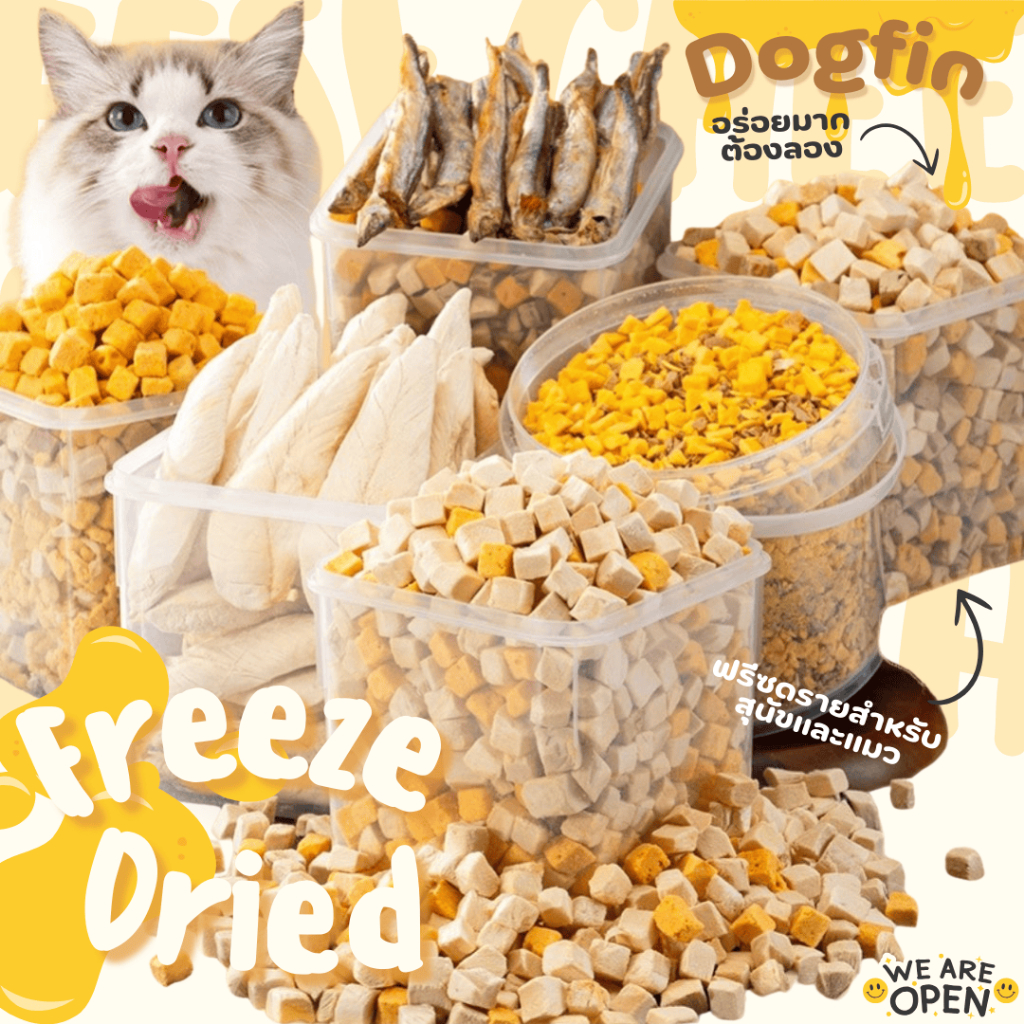 สินค้าสั่งผลิต Dogfin ขนมฟรีซดราย (Freeze Dried) รูปที่ 4