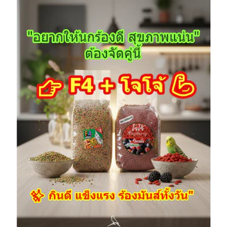 อาหารผลไม้รวม F4 + อาหารโจโจ้สูตรเลี้ยง สุดยอดคู่หูสุขภาพของนก "อาหารครบคุณค่า เสริมพลัง เสียงใส แข็งแรง"