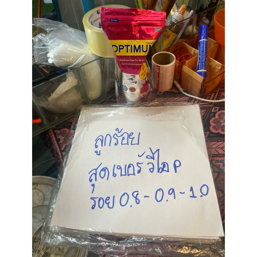 กระดาษเบอร์วีไอพีสุดเบอร์
