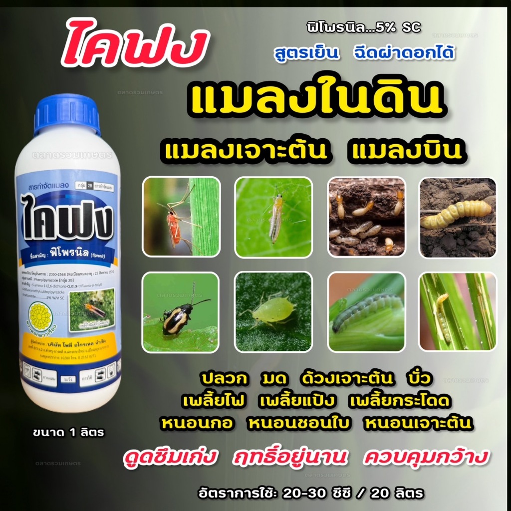 ไคฟง ฟิโพรนิล 5%  (สูตรเย็น ดูดซึมเยี่ยม) สารกำจัดปลวกและแมลง ราดปลวก กำจัดมอด มด หนอน เพลี้ยไฟ แมลงในดิน แมลงในต้น