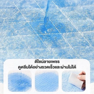 【พร้อมส่ง】 แผ่นรองฉี่สุนัข ซึมซับไดีดี ต่อต้านแบคทีเรีย แผ่นรองฉี่ ผ้ารองฉี่สุนัข แผ่นรองฉี่แมว แผ่นรองซับ ทรายแมวCOD