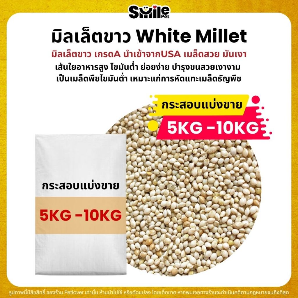 (5KG/10KG) มิลเล็ตขาว White Millet เกรด A อาหารนกแก้ว และสัตว์ฟันแทะ ใหม่ สด สะอาด ร่อนฝุ่นทุกถุง