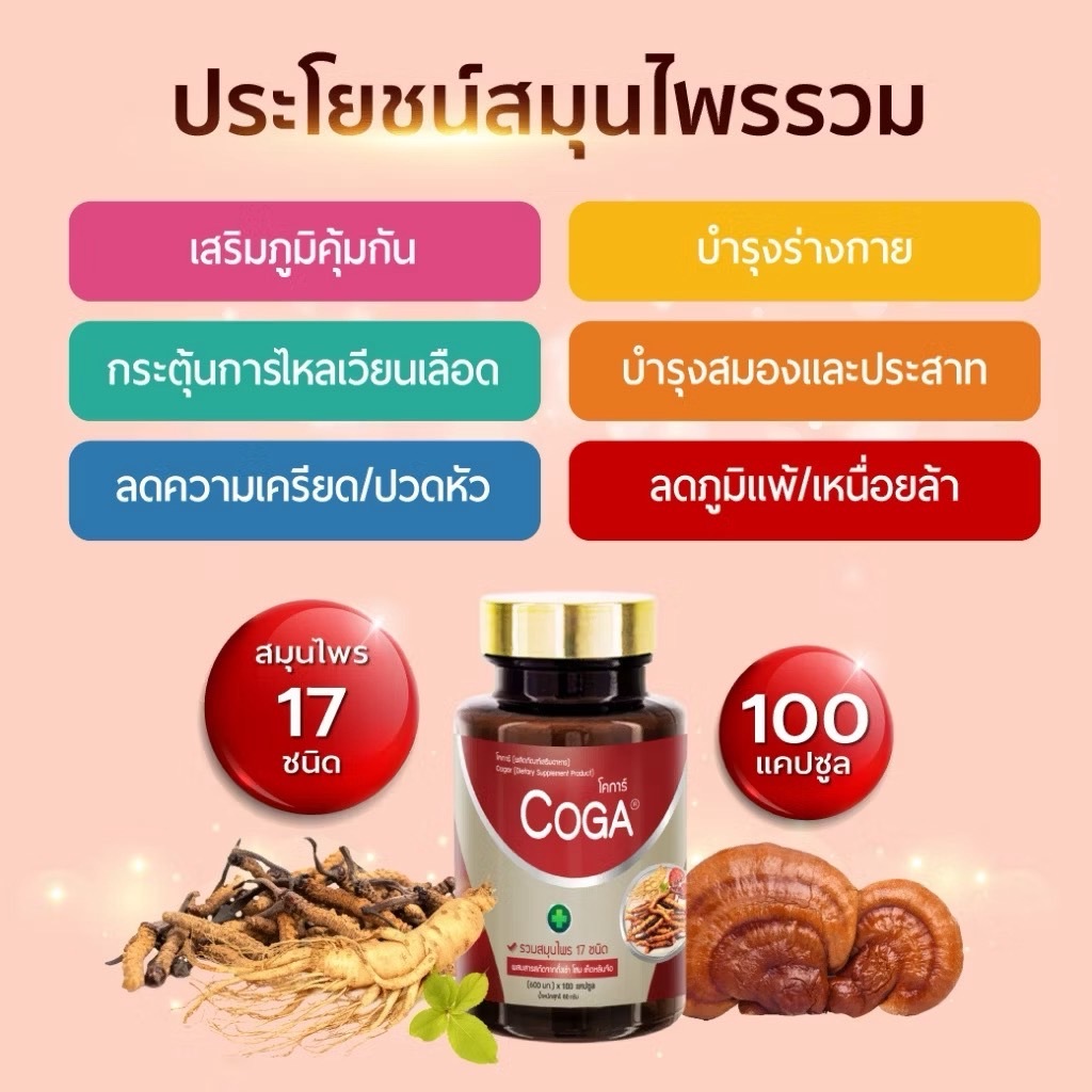 Coga โคก้า วิตามินรวมสมุนไพร17ชนิด โสม หลินจือแดง (100เม็ด/กป.)