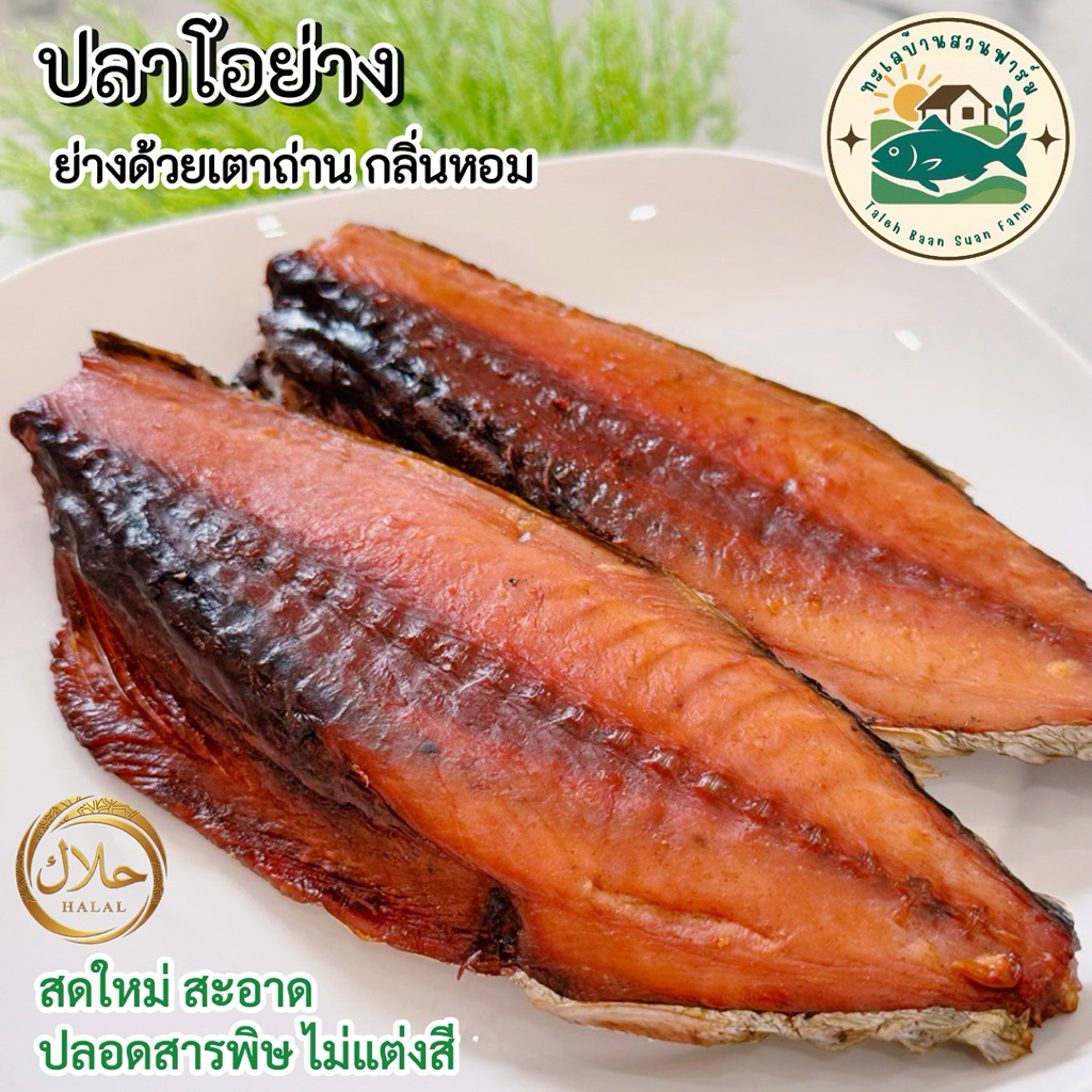ปลาย่าง ปลาโอย่าง ปลอดสารพิษ ทำแกงไตปลาได้