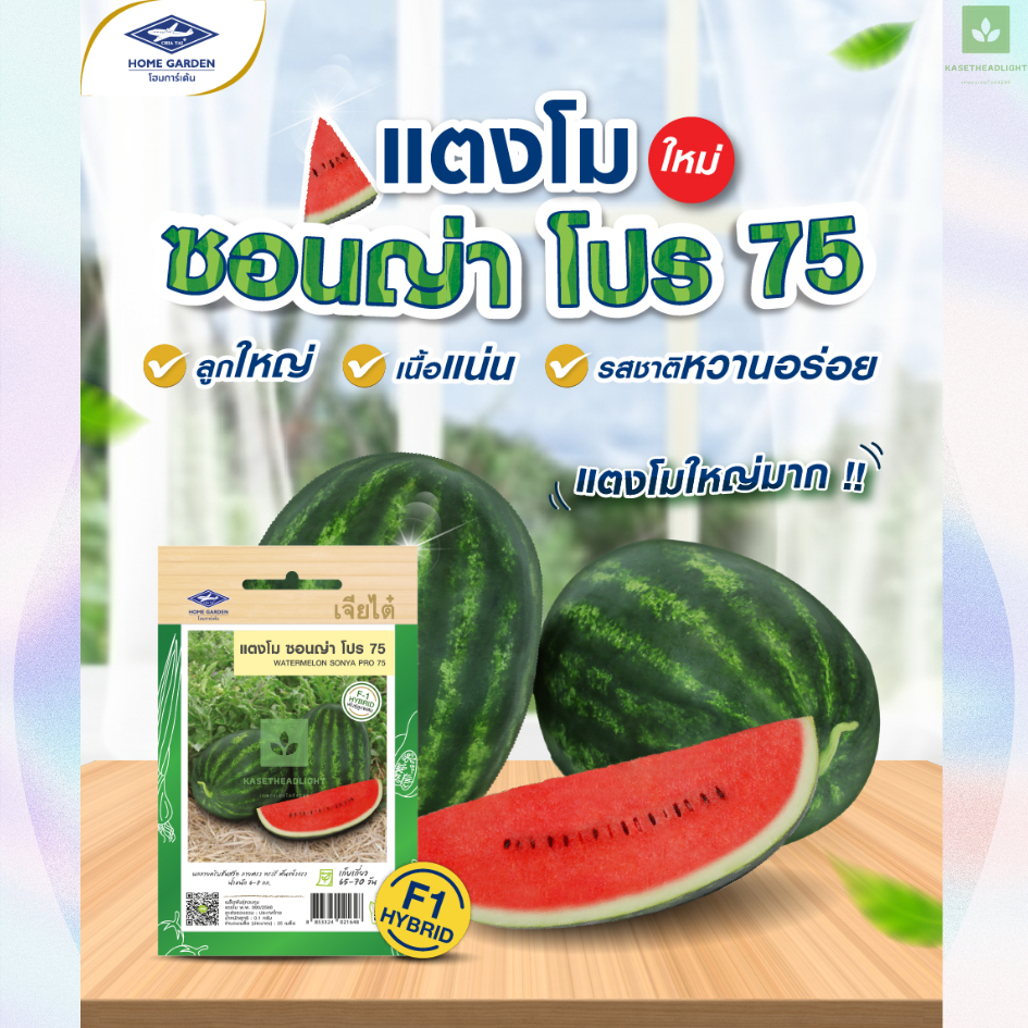 เมล็ดพันธุ์ แตงโม ซอนญ่า โปร75 เจียไต๋