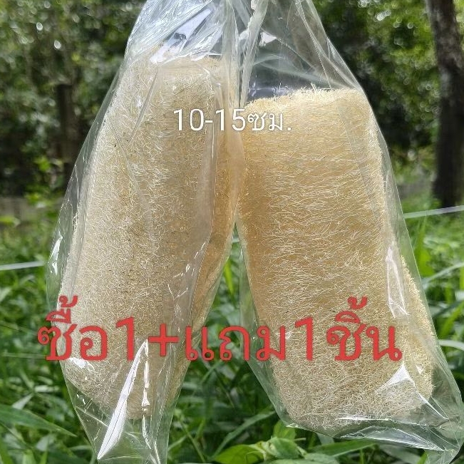 🌼ใยบวบตัดท่อนซื้อ1+แถม1ชิ้น ขนาด10-13ซม. ใยบวบหนา
