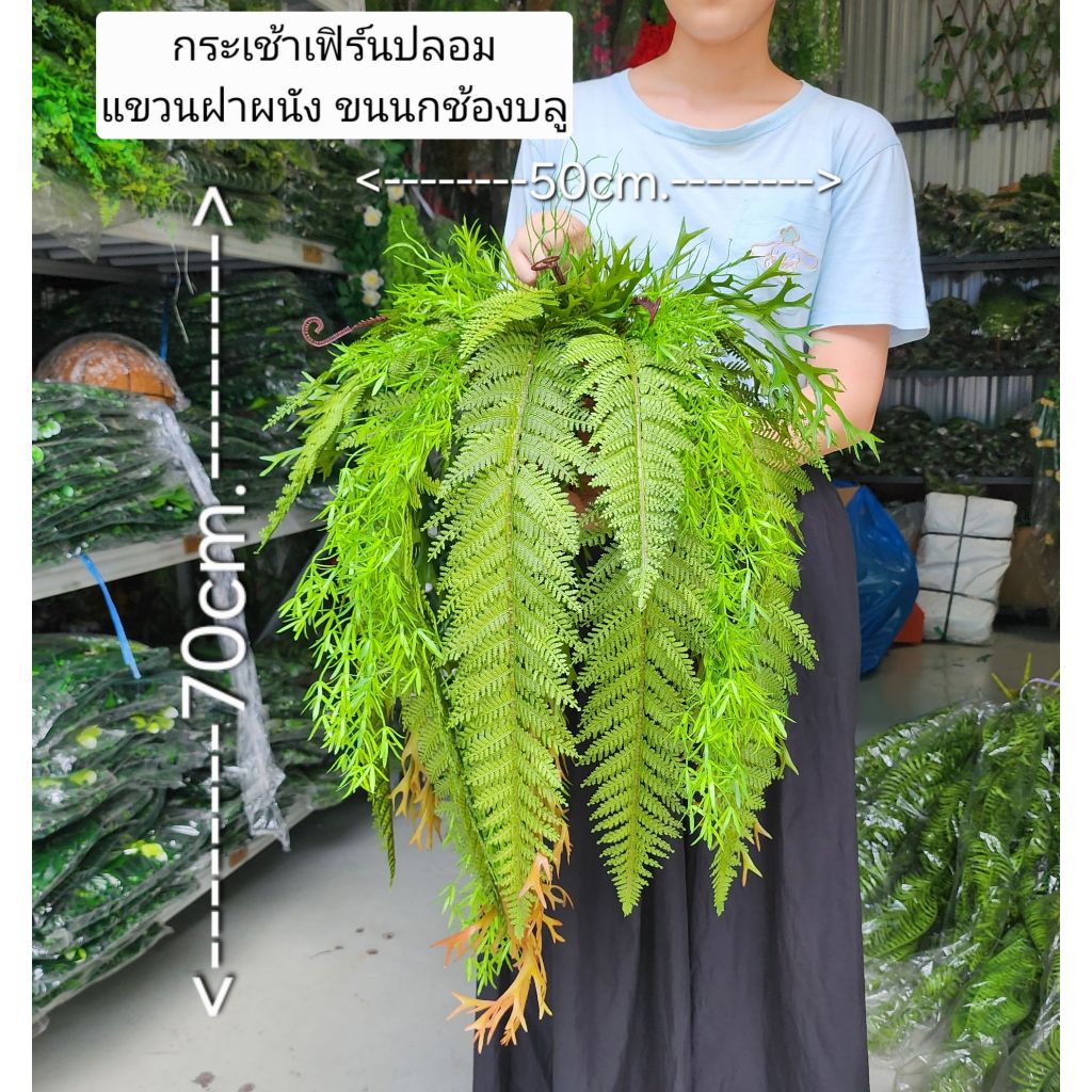 ส่งเร็ว กระเช้าแขวนฝาผนัง เฟิร์นปลอม มีเฟิร์นเทียมแบบต่างๆ ตกแต่งร้าน บ้าน ให้สดชื่น โดยไม่ต้องรดน้ำ #เฟิร์นปลอม