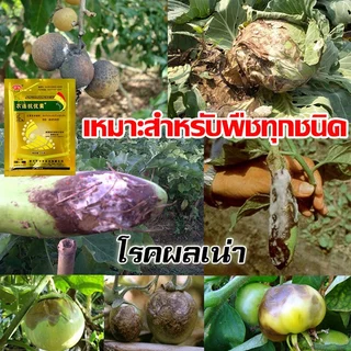 【COD】3แถม 3 /ซื้อ 1 แถม 1 ครั้งเห็นผล ป้องกันโรคพริกเน่า ยาป้องกันโรคพืช ต่างๆ ใช้ควบคุมโรคเน่า โรคสนิม โรคราน้ำค้าง ยาฉ