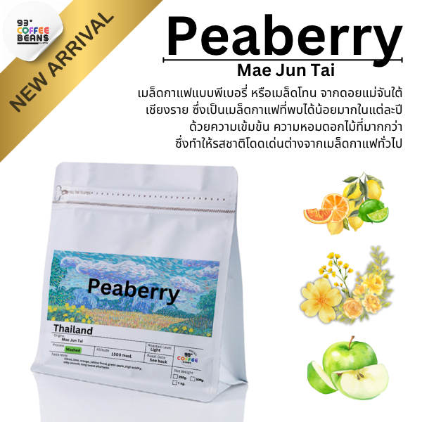Peaberry By 93 Degree Coffee เมล็ดกาแฟคั่ว พีเบอรี่ คั่วอ่อน