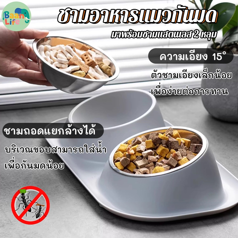 😸😸ชามอาหารแมวกันมด ชามแมว 2 หลุม  มาพร้อมชามแสตนเลส ถอดล้างได้ ชามกันมด สุนัข