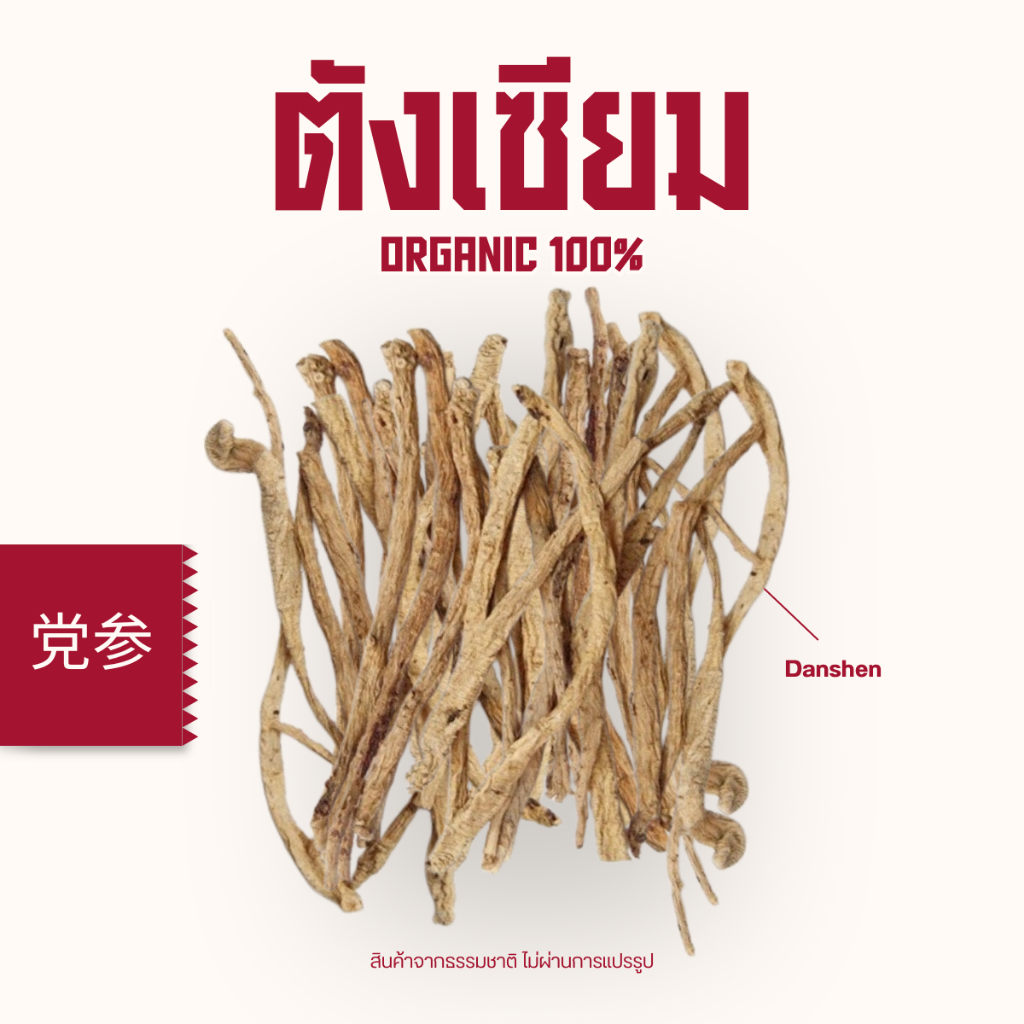 ตังเซียม ตั่งเซียม 党参 Dang Shen Codonopsis pilosula