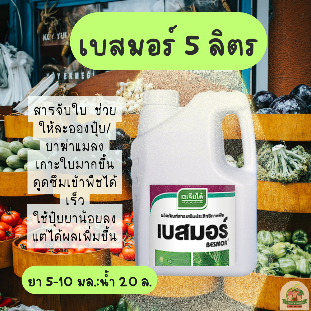 เบสมอร์ 5 ลิตร ยาจับใบ แบบกระติก เจียไต๋ สารเสริมประสิทธิภาพพืช