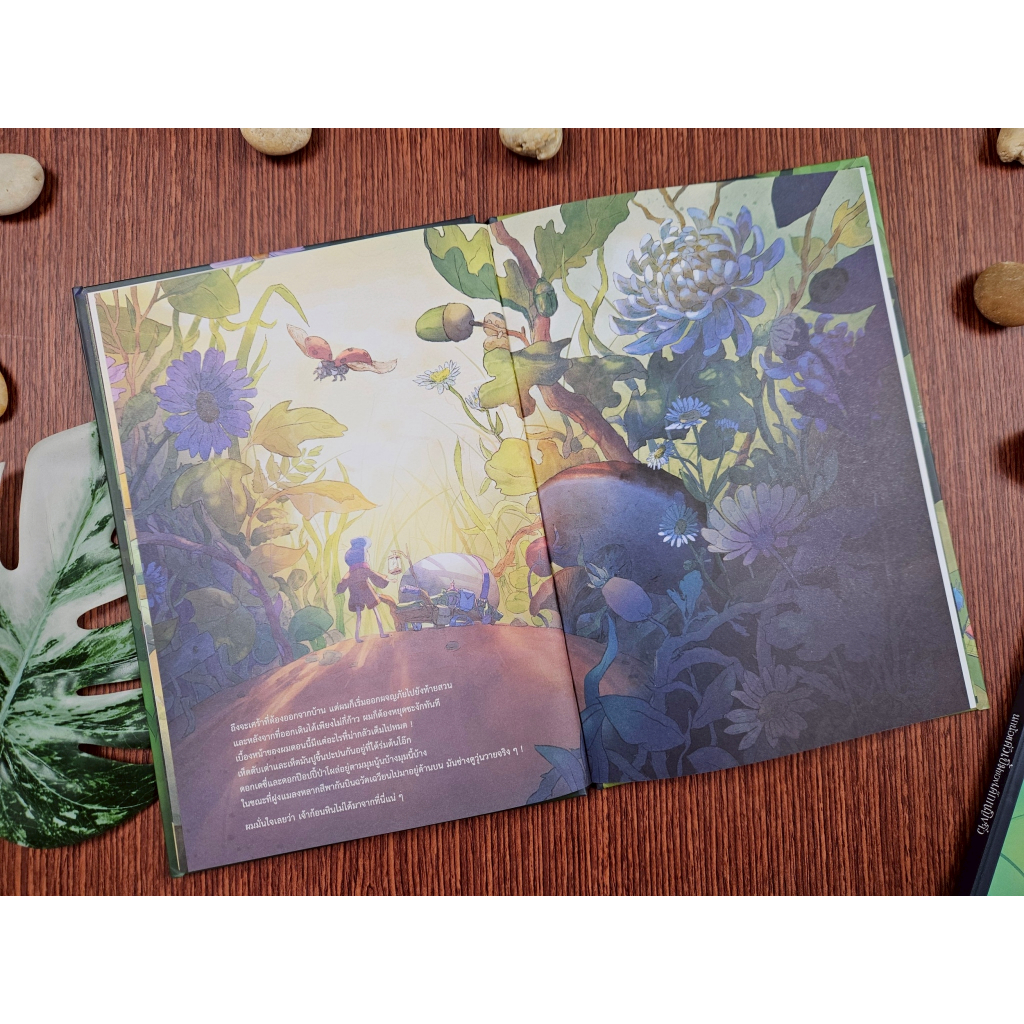 Little Heart หนังสือนิทาน ก้อนหินประหลาดของเด็กชายจิ๋ว นิทานหมอประเสริฐแนะนำ (76767) ราคา ถูกที่สุด ดีลบีเคเค แกลเลอรีภาพที่ 4
