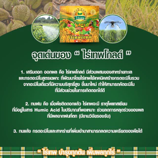 ชุดทดลองไร่เทพโกลด์ 2 ซอง เสริมดอก ออกผลไว ทนฝน-แล้ง เพิ่มผลผลิต+โล่เขียว มัน เขียว ถึก ทน 250 ml.