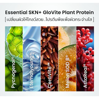 Essential SKN+ GloVite Mixed Berry Plant Protein โปรตีนพืช รสเบอร์รีรวม 1 กระปุก 900 กรัม