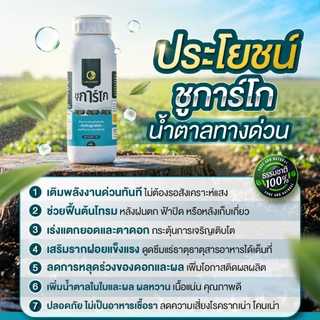 [1ขวด] ชูการ์โก(ขวดเล็ก) 500 ML - SUGAR GO น้ำตาลทางด่วนสำหรับพืช ปุ๋ยน้ำ ปุ่ญกุหลาบ ช่วยเร่งราก
