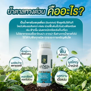 [1ขวด] ชูการ์โก(ขวดเล็ก) 500 ML - SUGAR GO น้ำตาลทางด่วนสำหรับพืช ปุ๋ยน้ำ ปุ่ญกุหลาบ ช่วยเร่งราก